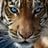 Jaime Rafael Gonzàlez Flores.'s profile picture
