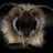 nknajsufk's profile picture