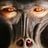 Funktor's profile picture