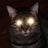 Jean-Marc Misere's profile picture