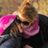 Carolina Benux's profile picture