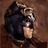 Conan Noriega's profile picture