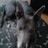 Maureen Mcbrearty's profile picture