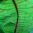 Vadparaszt's profile picture