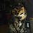 Pivdenne1's profile picture