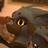 HMage's profile picture