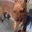 Chuy's profile picture