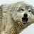 Yosselin Paz's profile picture