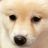 むぎ山's profile picture