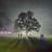 georgie(:'s profile picture