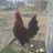 Benoit Deletoile's profile picture