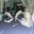 DIRTSTYLE SKATEBOARD's profile picture