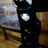 sonzaiwho's profile picture