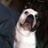 MD Gassy's profile picture