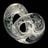 Just-J's profile picture