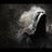 ⱤØ₭Ø's profile picture