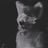 Sugar's profile picture