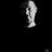 Vain Nofler's profile picture