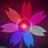 Shishi_House's profile picture