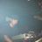 yosuke shoji's profile picture
