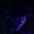 D.Gladiator's profile picture