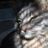 Jean Stempfel's profile picture