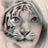 MissC@T's profile picture