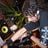 DJ Trap/Jaw's profile picture
