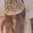 Neeneekee's profile picture
