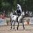 Gaetano Falivene's profile picture