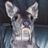 Spr  Snc's profile picture