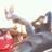 Brian Camarena's profile picture