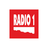 Radio 1 Prague's profile picture