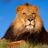 dj lion twin tower sound's profile picture