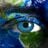 Woven Tapestry's profile picture