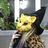 ji's profile picture