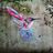 Barbara Krokowska's profile picture
