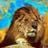 Vikingaka Don's profile picture
