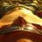 Nicholas Plim Nethercott's profile picture