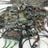 ddell76's profile picture