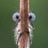 Giannis Kakaliagos's profile picture