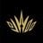 DjayWoO's profile picture