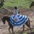 Fabiana Csg's profile picture