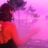 Cathy de K's profile picture