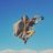 Orka_Ecstatic_Dance's profile picture