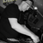 DiRT's profile picture