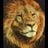 vikingaka65's profile picture