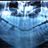 Neural_connection's profile picture