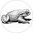 Le crapaud siffleur's profile picture