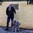 Ian Watt's profile picture